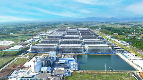 逐綠而行 河南加快構(gòu)建廢棄物循環(huán)利用體系 投資興辦實(shí)業(yè)